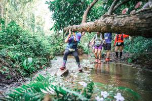 BIB: 
                            <button type="button" onclick="openModal(25478803)" class="btn btn-primary btn-sm float-right btn-popup" data-toggle="modal" data-target=".modal-high-quality">
                        <i class="fas fa-shopping-cart"></i> Add to Cart
                    </button>
                                            <button type="button" onclick="isThisMe(25478803, true)" class="btn btn-success btn-sm float-right btn-popup btn-isme hidden" data-toggle="tooltip" data-placement="bottom" title="นี่คือรูปของคุณใช่ไหม คลิกที่นี่เพื่อเอาเข้าอัลบั้ม">
                        <i class="fas fa-plus"></i> Add to album
                    </button>
                    <button type="button" onclick="isThisMe(25478803, false)" class="btn btn-warning btn-sm float-right btn-popup btn-isnotme hidden">
                        <i class="fas fa-ban"></i> Remove from album
                    </button>